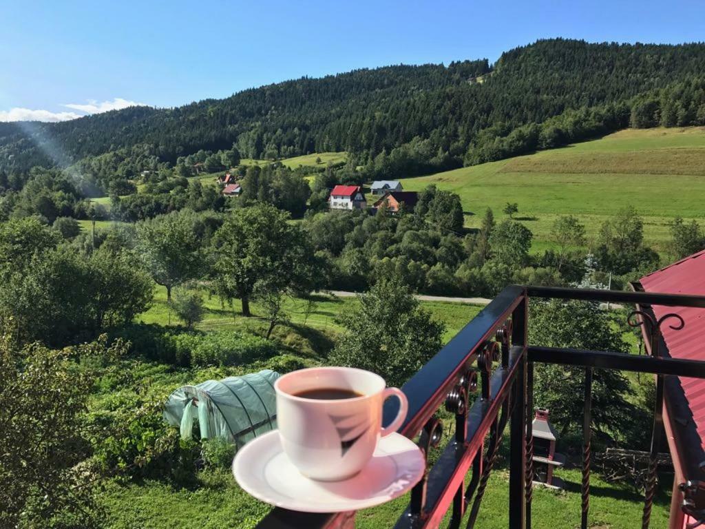 Malinowy Domek Mlynczyska Экстерьер фото